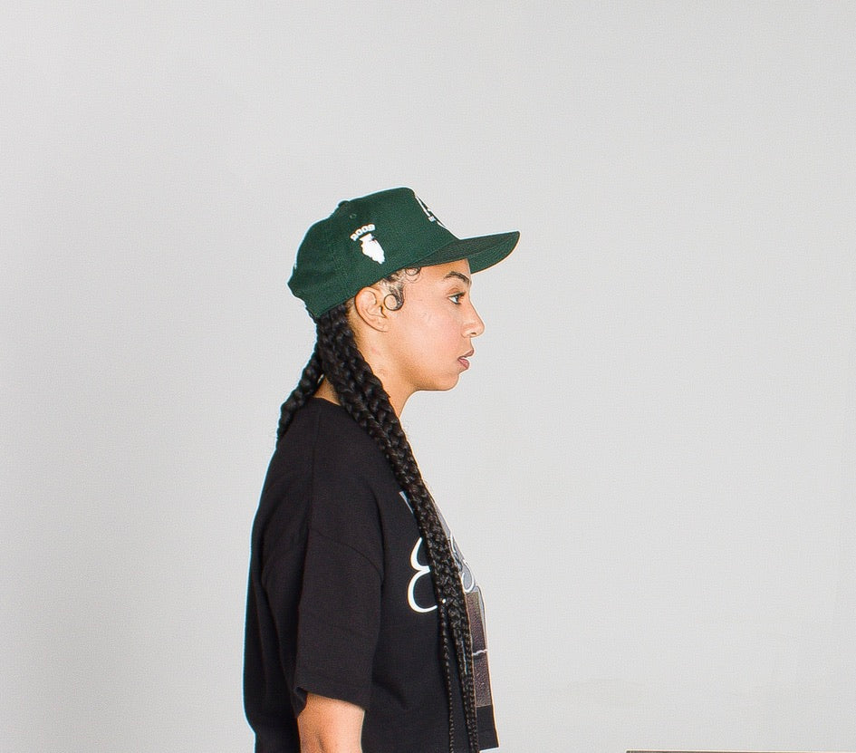EE Logo Cap (DkGreen)